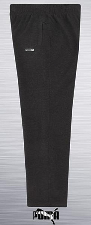 Штаны Спорт Azt AZ45 d.grey - делук