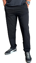 Штаны Спорт Vip Stendo V11 black - делук