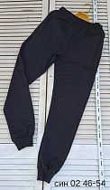 Штаны Спорт Sport Style 02 navy Штаны Спорт Sport Style 02 navy - делук