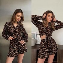 Костюм Alisa Brand 173 brown Костюм Alisa Brand 173 brown - делук
