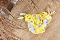 Плавки Sun&Sea 25500 yellow - делук