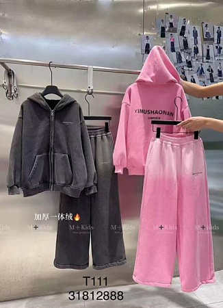 Костюм Спорт Delfinka T111 grey - делук