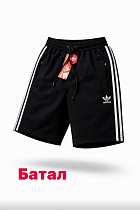 Шорты Alex Clothes 14598 black - делук