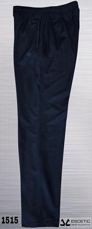 Штаны Спорт Azt AZ490-1515 navy - делук