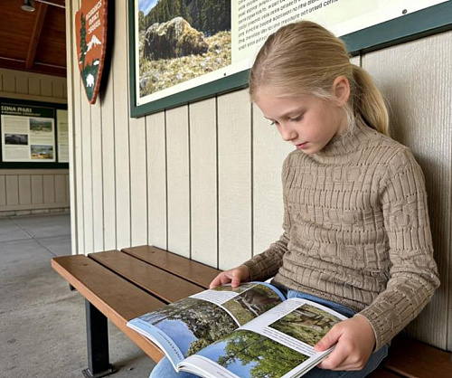 Гольф Yalisi 519 l.brown - делук