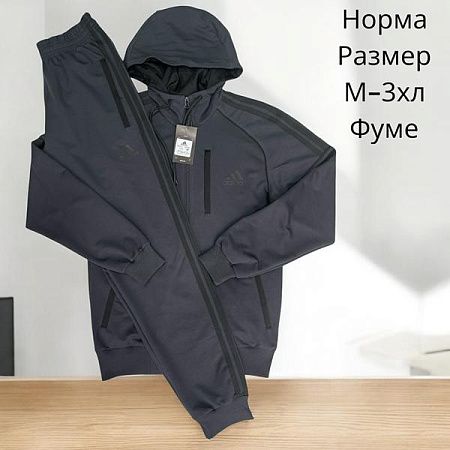 Костюм Спорт Hai H397 grey - делук