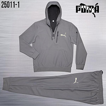Костюм Спорт Azt AZ1063-25011-1 grey - делук
