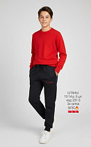 Штаны Спорт Amz 231-3 black-red - делук