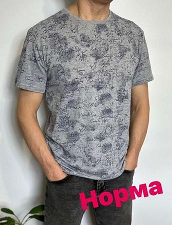 Футболка Vip Stendo 5104 grey - делук