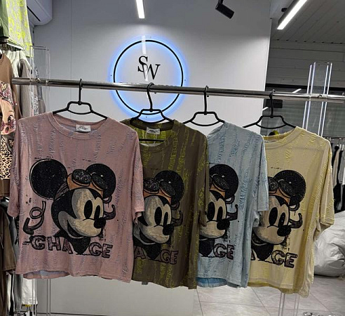 Футболка Saint Wish 1230-2 mix - делук