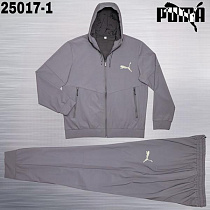 Костюм Спорт Azt AZ1057-25017-1 d.grey - делук