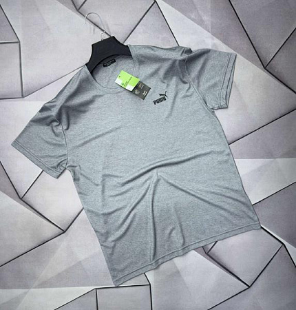 Футболка Rassul 66223 grey - делук