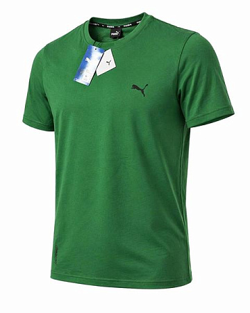 Футболка Alex Clothes 14225 green - делук