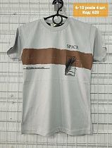 Футболка Ibambino 620 grey - делук