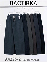 Штаны Hoan A4225-2 mix - делук