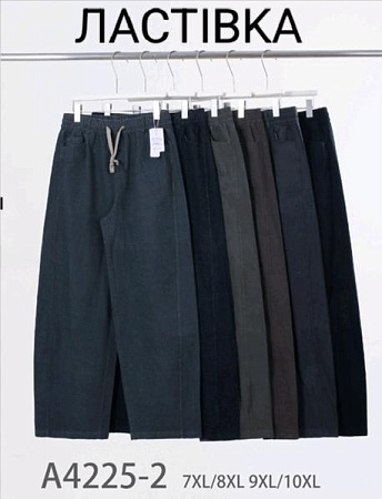 Штаны Hoan A4225-2 mix - делук