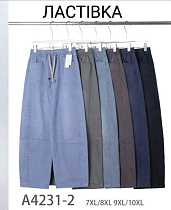 Штаны Hoan 4231-2 mix - делук