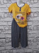 Костюм Dicolor DC35 yellow - делук