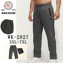 Штаны Спорт Hoan 2827 grey - делук