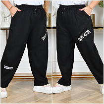 Штаны Спорт Saint Wish 6020 black - делук