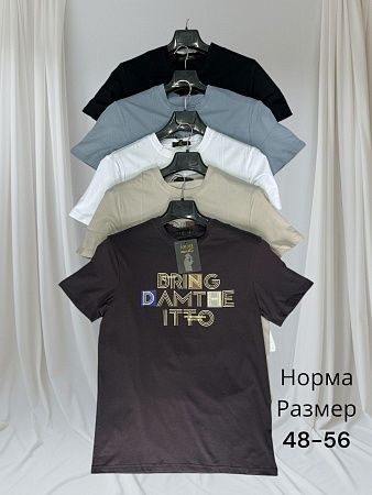 Футболка Hai H155 grey - делук