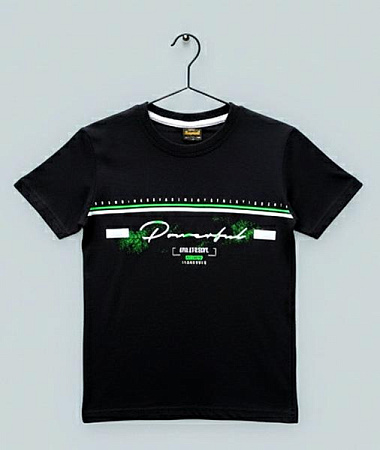 Футболка Dino DN340 black - делук