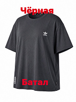 Футболка Alex Clothes 14600 black - делук
