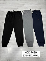 Штаны Спорт Mary Poppins 7420 navy - делук