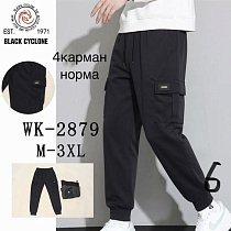 Штаны Спорт Giang 2879 grey - делук