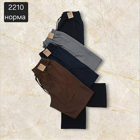 Штаны Спорт Moranny 2210 navy - делук