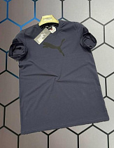 Футболка Alex Clothes 13981 grey - делук