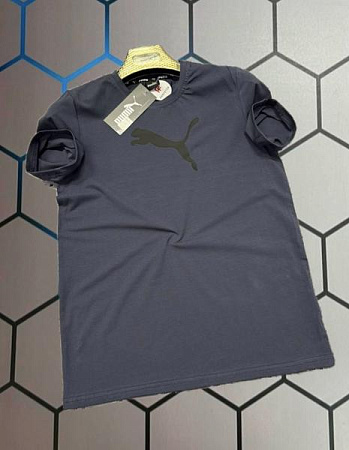 Футболка Alex Clothes 13981 grey - делук