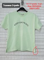 Футболка Amz 08254034 mint - делук
