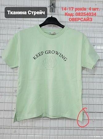Футболка Amz 08254034 mint - делук