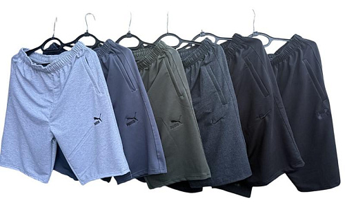 Шорты Essa E960 grey (50-58) - делук