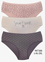 Трусы Disneyopt D4KT166 mix (L) - делук