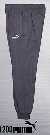 Штаны Спорт Azt AZ661-1200 grey - делук