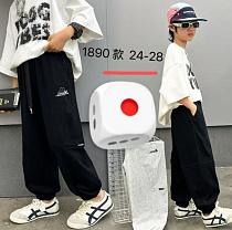 Штаны Спорт Фунтик 1890 grey - делук