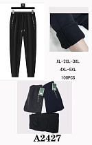 Штаны Спорт Faraon A2427 black - делук