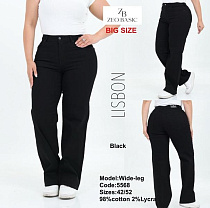 Джинсы Jeans Style 5568 black - делук