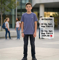 Футболка Ibambino T261-2 grey - делук