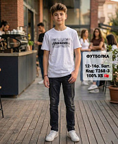 Футболка Ibambino T268-3 white - делук