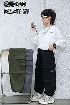 Штаны Chicwear 613 khaki - делук