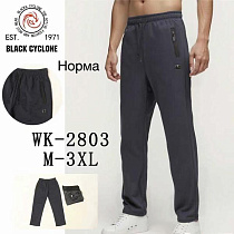 Штаны Спорт Giang 2803 black - делук