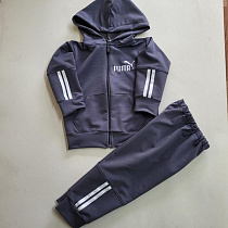 Костюм Спорт Proschenko PR913 grey - делук