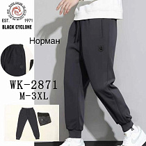 Штаны Спорт Giang 2871 grey - делук