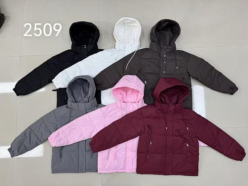 Куртка Liopt 2509 grey - делук