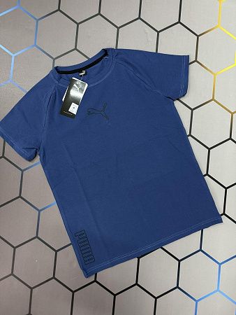 Футболка Alex Clothes 4352 blue - делук