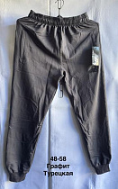 Штаны Спорт Minh MH654 grey - делук