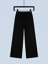Штаны Спорт Dino D1681 black - делук